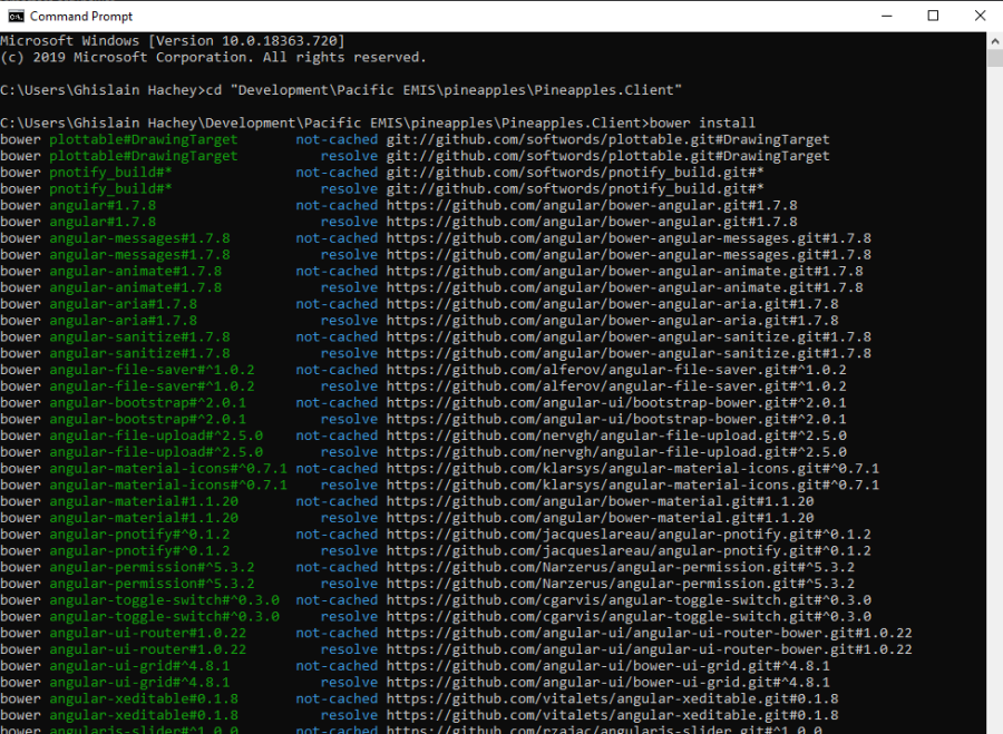 bower-install-first-run.png