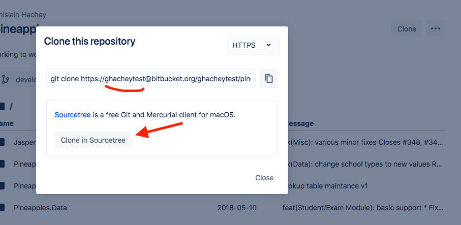 bitbucket checkout in sourcetree